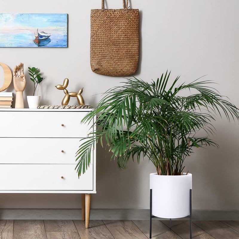 D'vine Dev Modern White Plants Pot Cylinder Planter with Heavy Duty Stand, Large 12 Inch Pot, 18.9 Inch with Stand Height, 96-T-A-3 - Image 3